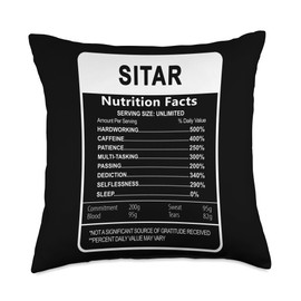 Check out my sitar player Shirts I Destroy Silence Player Vintage Sitar Throw Pillow, 18x18, Multicolor