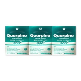 Querpine Synergy Booster 2g / 퀘르파인 시너지 부스터 2g X 21포 3박스 퀘르세틴 브로멜라인 유산균