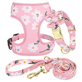Beirui Cute Girl Dog Collars, Harnesses & Leashes Set - Adjustable Dog Collar and Leash Set with Flower - Soft Mesh Dog Vest Harness for Puppies Small Medium Dogs (Pink-1,M)