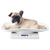 Hidyliu Digital Pet Scale Mini Weight Scale 10kg/1g Baby Scales