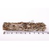 Black Sage Smudge Incense 8"-9" Bundle (7 pcs) #JC-142