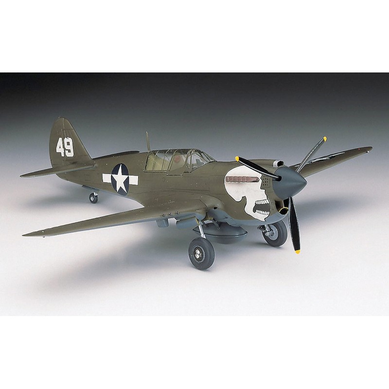 Hasegawa 1:72 Scale P-40N Warhawk Model Kit