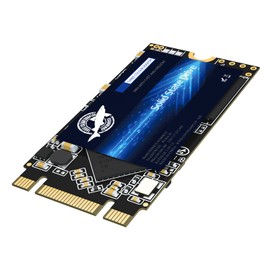 Dogfish SSD Sata M.2 2242 1TB Solid State Drive Ngff Internal Desktop Computer 6Gb/s High Performance Hard Drive From Previously 60GB 120GB 240GB 250GB 480GB 500GB SSD (1TB, M.2 2242)
