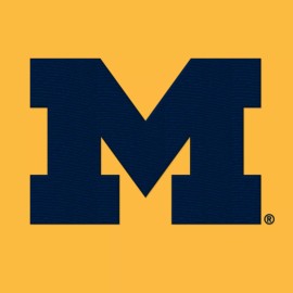 Michigan Primary Logo Solid Knit Beanie - Gold with Navy