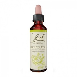 바흐 플라워 넘버 16 허니서클 20ml Bach Flower Number 16 Honeysuckle 20ml