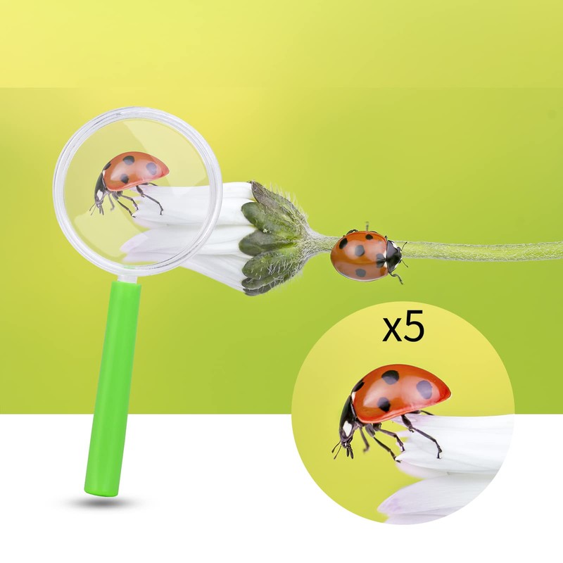 GOLDGE Pack of 12 Magnifying Glasses Children's Magnifying Glasses Toy