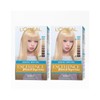loreal L'Oréal Paris 2xExcellence Bleach Supreme (Increased) Bondrepair 100ml (Random)