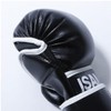 isami TN-8 Pound Gloves Sparring After Mixed Martial Arts (FREE)