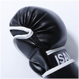 isami TN-8 Pound Gloves Sparring After Mixed Martial Arts (FREE)