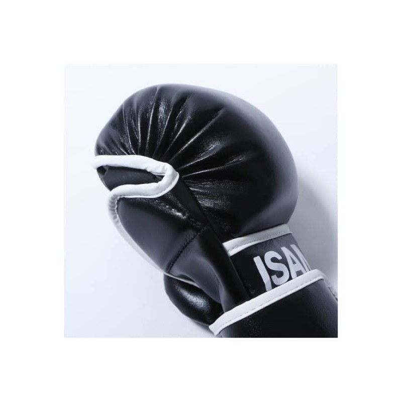 isami TN-8 Pound Gloves Sparring After Mixed Martial Arts (FREE)