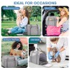 Jungyoon Large Cat Carrier Soft-Sided Airline Approved 20lb Pet Bag