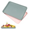KiKiHong 2 Piece Rectangular Tray,Small Tray,Reusable Plastic Tray,Tea Tray,Fast Food