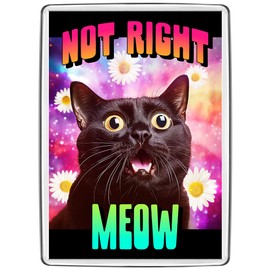 Pixly® Not Right Now Cat Fridge Magnet Large Jumbo Size Funny Joke Keepsake Novelty Refrigerator Magnets Gift