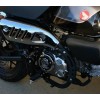 Small Bore Legends 2022+ Honda Monkey Z125 Billet Aluminum Engine