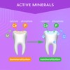 R.O.C.S. Toothpaste - Mineralin Complex with Calcium Bromelain, Xylitol -