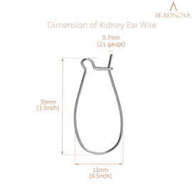 BEADNOVA Kidney Earring Hook 120pcs Stainless Steel Kidney Ear Wires Earwire Hook for Jewelry Making Earring DIY Making (39mm, 120pcs)