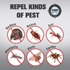 ANEWNICE Pest Control Spray, Mouse Repellent, Peppermint Spray for Mice