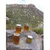 APIS Bee Venom Serum with Royal Jelly and Manuka Honey