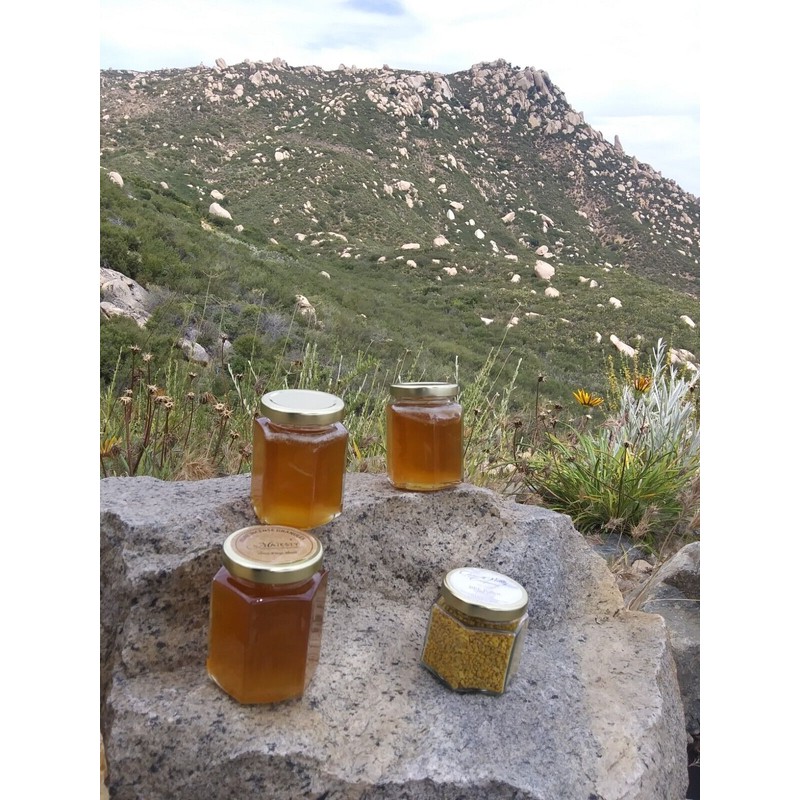 APIS Bee Venom Serum with Royal Jelly and Manuka Honey