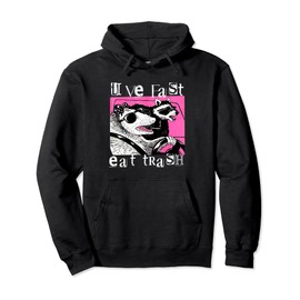 Live Fast Eat Trash Tee Funny Possum Racoon Retro Sunglasses Pullover Hoodie