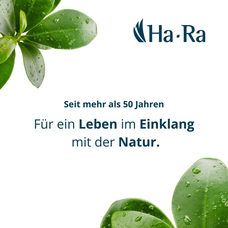 Ha-Ra Cleaning Cloth 'Star' Blue with Red Rim