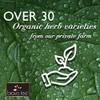 Bravo Tea Triple Detox Herbal Tea Caffeine Free, 20 Tea