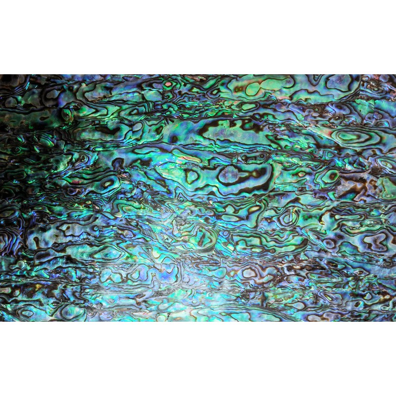 GOMMO Blue Paua Shell Veneer Sheet Enhanced for Inlay and