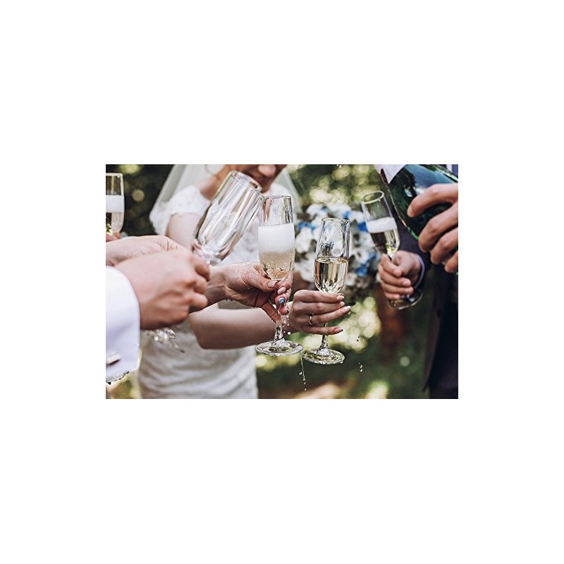 Champagne Flute - Beauty and Beast Crystal Glasses for Toasting