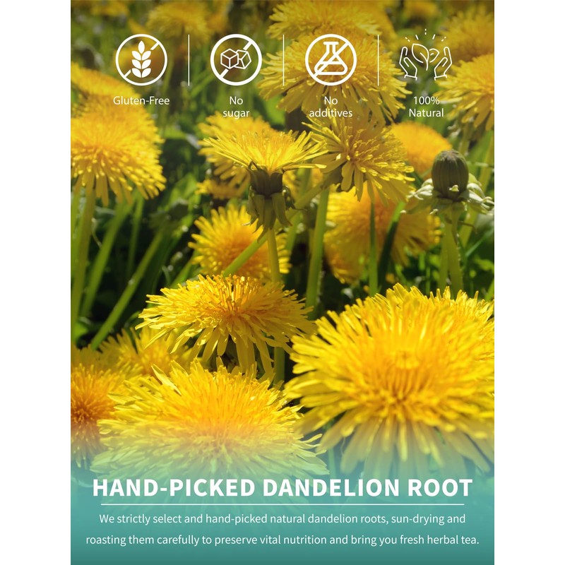 TeeLux Roasted Dandelion Root Tea Bags 50 Count, Premium Natural