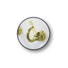 CGP Products 38 Hook Key Holder Wall Mount for Office,