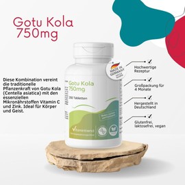 Vitamintrend Gotu Kola 750 mg, 250 Tablets, High Dose Gotu Kola Extract 6:1 with Vitamin C & Zinc, Dietary Supplement Vegan without Magnesium Stearate, Made in Germany