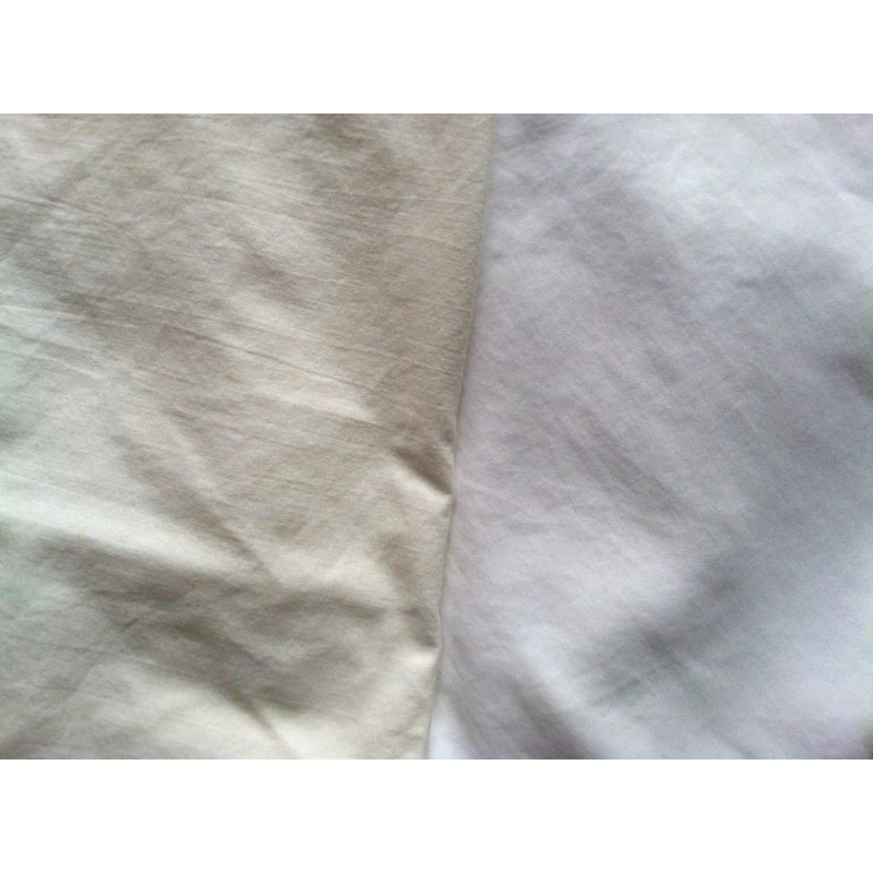 IGreen Pro Oxygen Bleach Destainer & Deodorizer for Household Cleaning