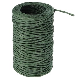 PATIKIL 164 Feet Floral Bind Wire Wrap Twine, 2mm Florist Wire Iron Wire Paper Covered Vine Wrapping Binding Wire for Flower Bouquets, Green
