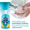 Germ-X Moisturizing Antibacterial Hand Soap, pH Balanced, Spring Rain, 12