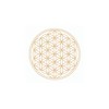 TC Mythos gold - Elegant Mythos glass with Flower of