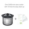 Mini Slow Cooker 0.65qt(20oz) warmer with 10 pcs food safe
