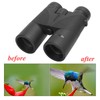 10x42 HD Outdoor Binocular High Definition for Bird Watching Hiking