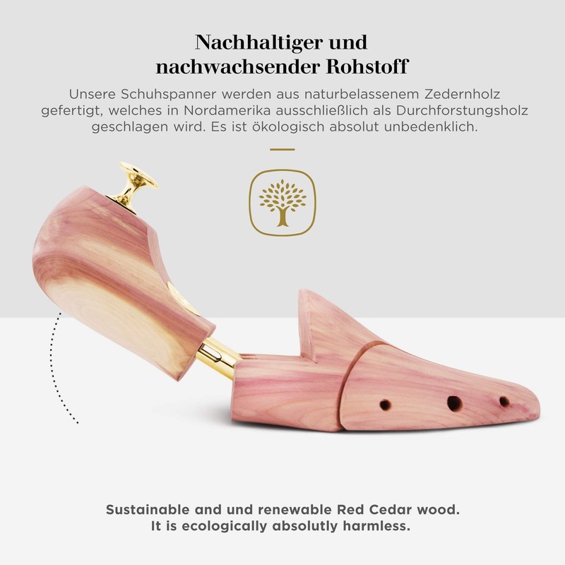Schlesinger - Premium Schuhspanner aus edlem Zedernholz für Herrenschuhe. Modell