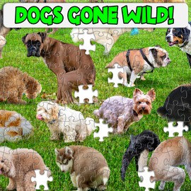 Funwares Original 101 Puppies Puzzle– Hilarious Doggy Business Jigsaw Puzzle – 1000 Piece Puzzle for Adults and Kids – Funny Gift for Dog Lovers, Gag Gifts, White Elephant and Game Night Fun
