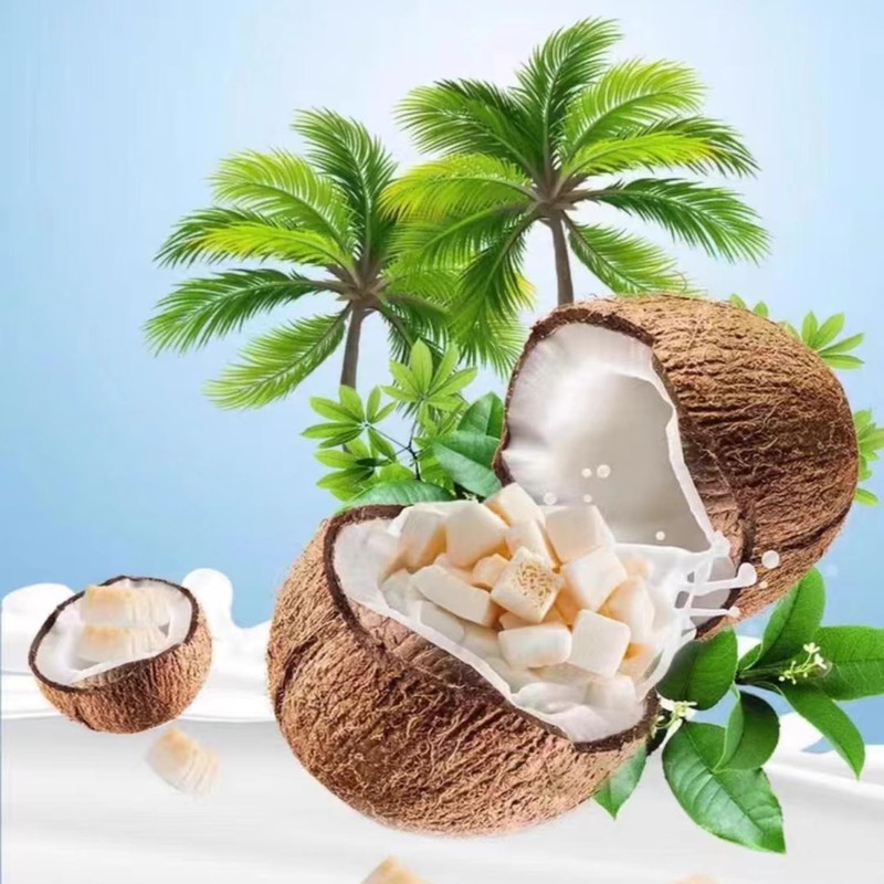 Coconut Chunks 8.81oz Dried Fruit Coconut Crispy Refreshing and Delicious