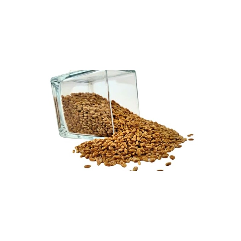 Hard Red Winter Wheat Berries, High in Iron, Zinc, and
