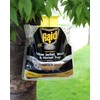 Raid Yellow Jacket and Wasp Trap (3-Pack) – Outdoor Disposable