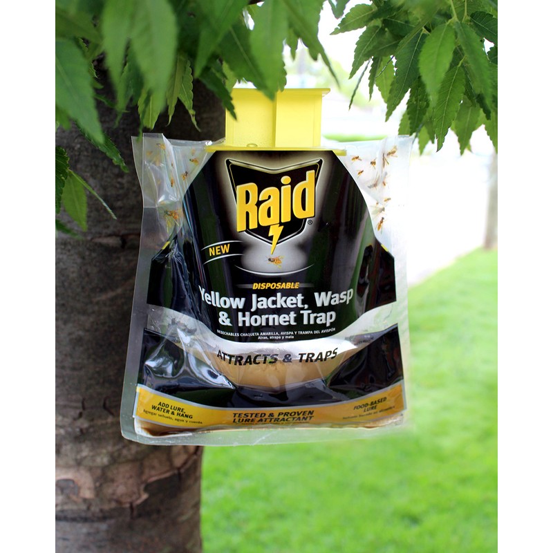 Raid Yellow Jacket and Wasp Trap (3-Pack) – Outdoor Disposable