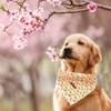 Elegant little tail Dog Bandana, Spring Pet Bandanas 1PC Cotton