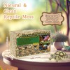 Riare 2.2LB Premium Sphagnum Moss for Reptiles- 50QT Natural Reptile