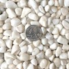 Midwest Hearth Decorative Polished White Pebbles 3/8" Gravel Size (10-lb