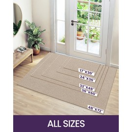 DEXI Indoor Door Mat, 17"x30" Non Slip Absorbent Doormat, Resist Dirt Entrance Mat, Washable Low Pile Floor Mats for Front Back Door, Entryway, Patio, Beige