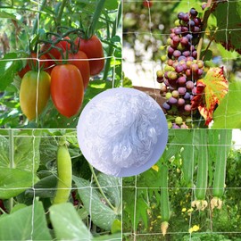 LINSCOCLE Trellis Net for Cucumbers, Trellis Tomatoes, 1.5 m x 10 m Greenhouse Net Trellis for High-Yielding Harvesting of Cucumbers and Tomatoes - White - Large Mesh Size 15 x 15 cm
