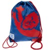 England FA Gym Sack - Lion
