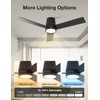 warmiplanet 42 Inch Small Ceiling Fan with Lights and Remote,